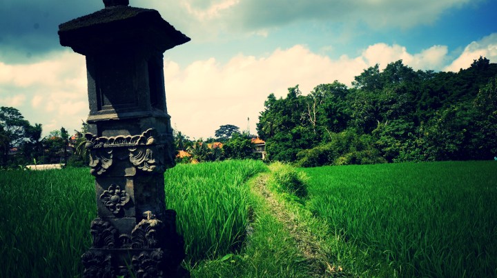 Ubud22